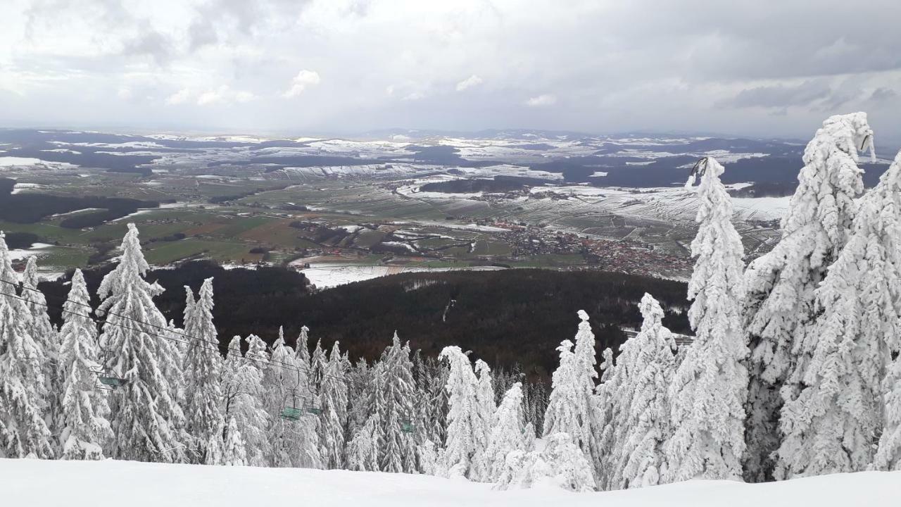 Ubytovani Ronsperk Pobezovice Exterior foto